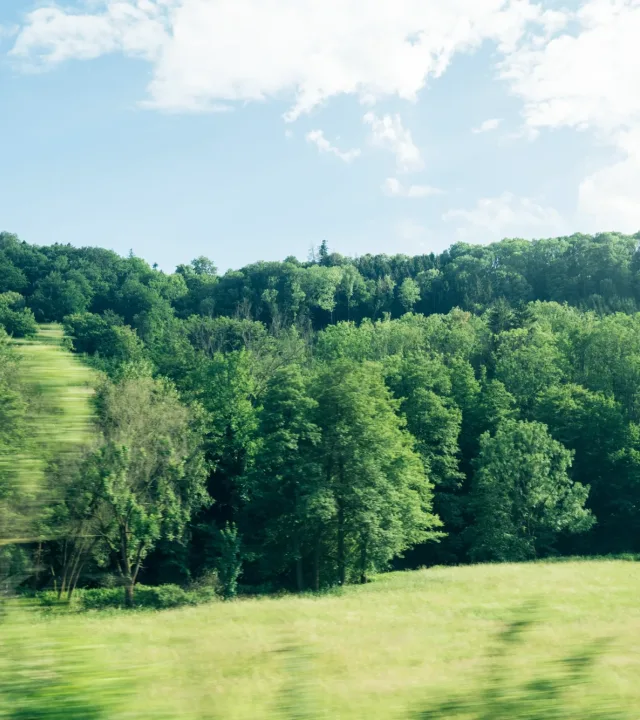 Shaping Sustainable Future for All