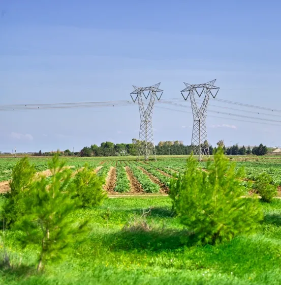 Flexible Power Generation